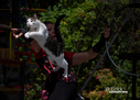 2025CatRenFair1.jpg