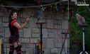 2025CatRenFair4.jpg