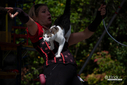 2025CatRenFair5.jpg