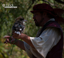2025KookaburraRenFaire1.jpg